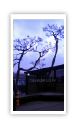 pangyo deck pergola 0030.JPG